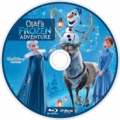 dvd диск Олаф и Холодное приключение