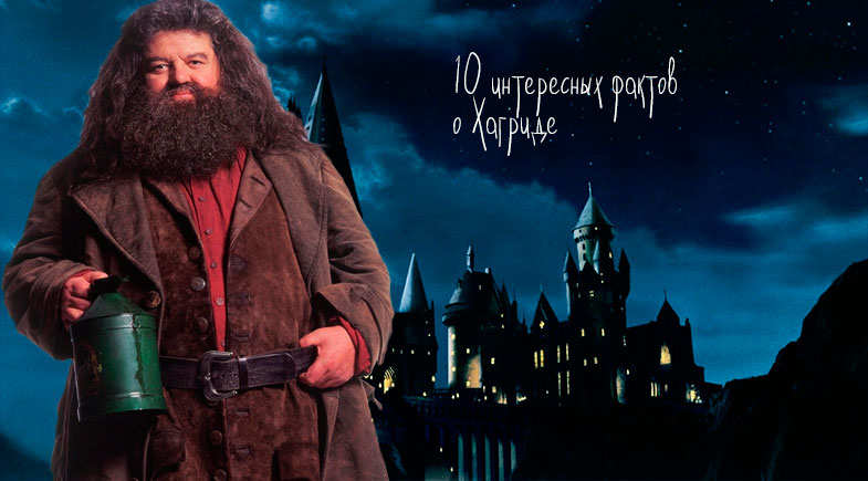 10 Фактов о Хагриде их книг и фильмов про Гарри Поттера
