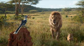 Единственный настоящий кадр в фильме «Король Лев» от Disney